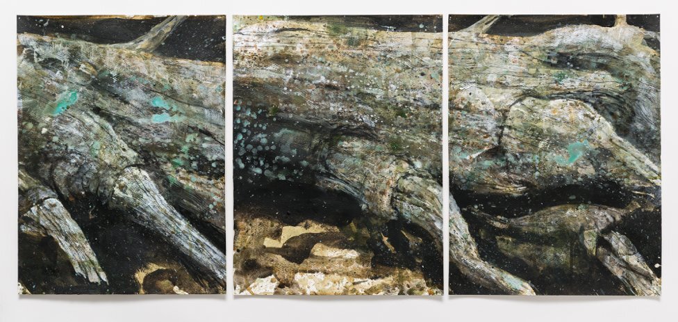 Fallen Giant-2 2015 Watercolor on paper 16 x 36 in (each: 16 x 12)