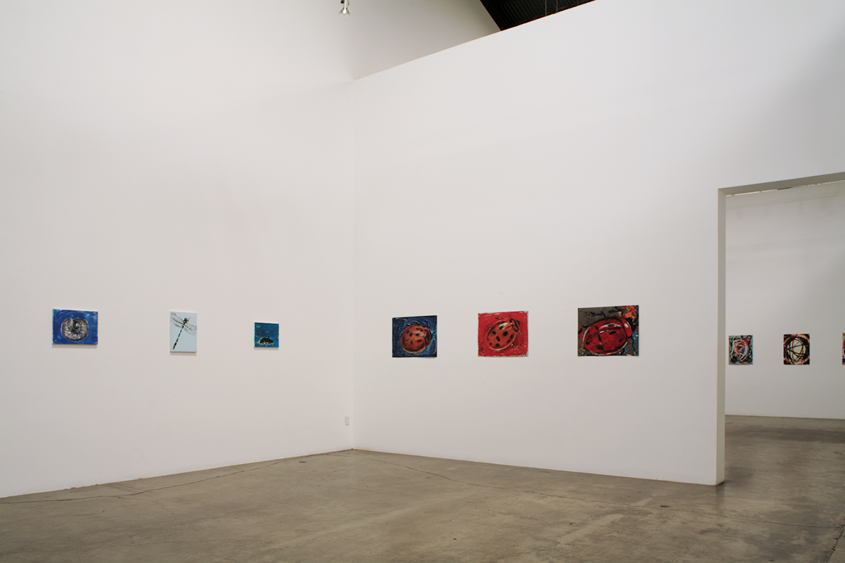 2008. Solo Exhibition, installation view.