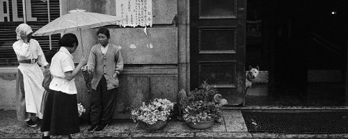 HYS_1_13 copy HYS_1_13 copy