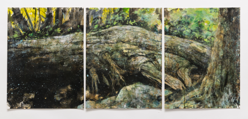 Fallen Giant 2015  Watercolor on paper  16 x 36 in